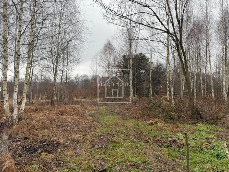 Teren intravilan 520 mp Valea Avrigului ideal cabana A-frame - 4