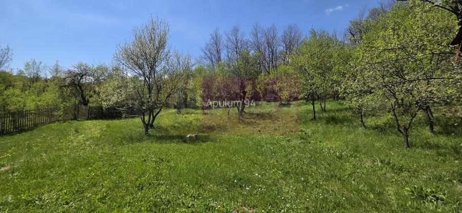 Teren cu Casuta de lemn in Sotrile (langă Valea Doftanei) - 4