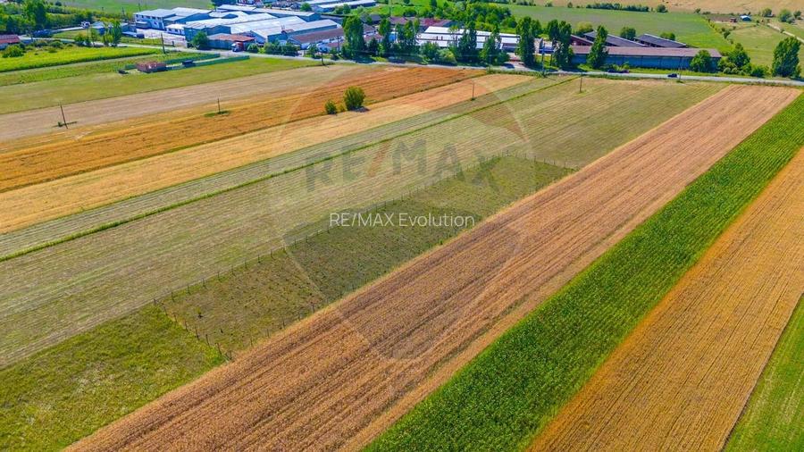 TEREN extravilan- 6 E/MP- CU PLANTATIE DE TRANDAFIRI! Teliu 7000mp - 3