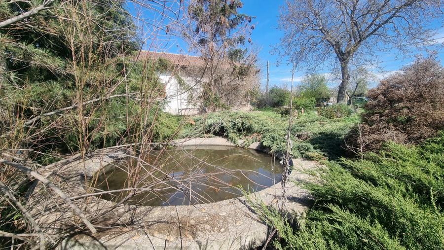 Casă la țară de vânzare în Tartășești – refugiu de relaxare aproape de București - 4