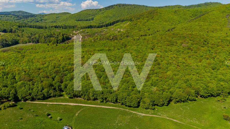 Teren 1500 mp | Zona Viesel – Codlea | Priveliște Superbă | Investiție - 6