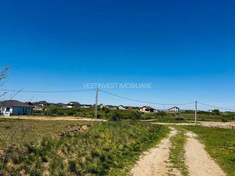 Teren intravilan 3800 mp Alparea lângă pădure - 3
