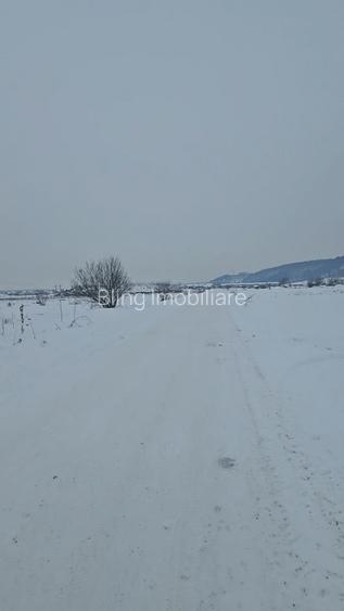 Hala de 600mp, teren de 1200mp, Gilau - 2