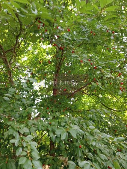 Casa demolabilă cu teren de vanzare in Breaza - 9