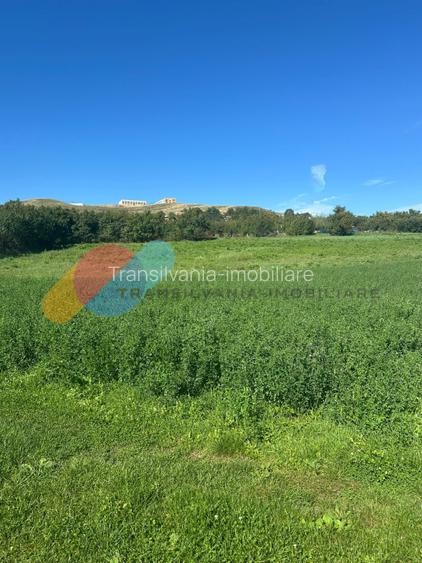 Teren intravilan 2550mp in Sopor - 3