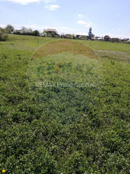 De vânzare teren intravilan, 6574 mp în Leș - 3