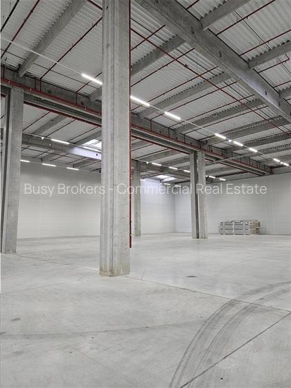 Spatii Industriale - 9500 mp - Logistica - Productie - Depozitare - Distributie - 6