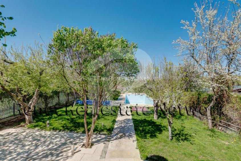 O Poveste de Vis pe Malul Lacului Snagov - 35