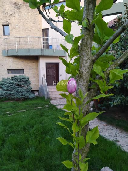 Mogosoaia vila robusta cu view unic catre palat si parc,ponton pe lac,dendrariu - 7