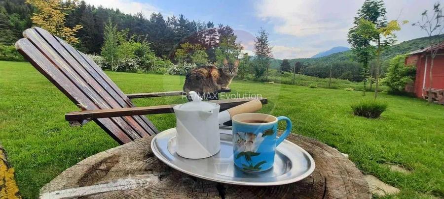 Casă / Vilă cu 2 camere de închiriat - 4