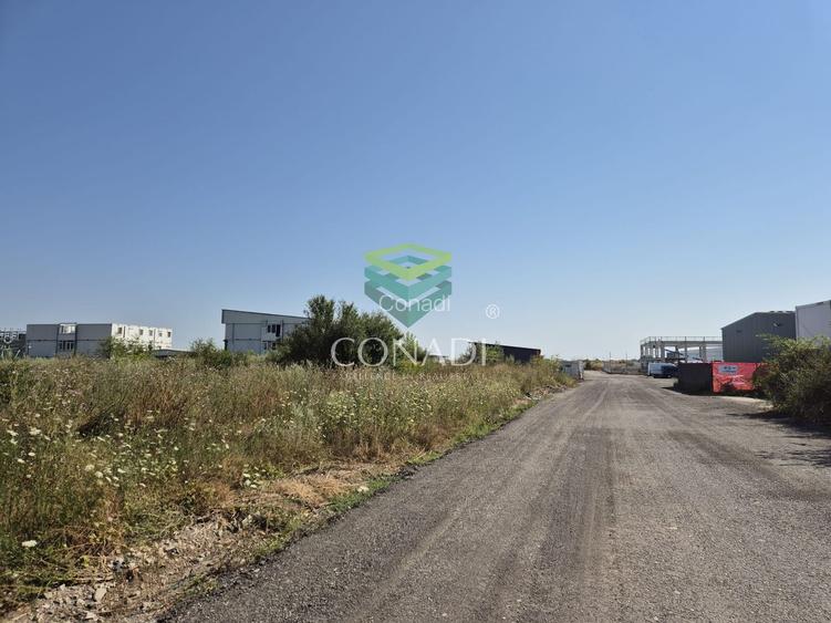 Teren de vanzare cu autorizatie pentru 2 hale - Otopeni - 10.000 mp - 17