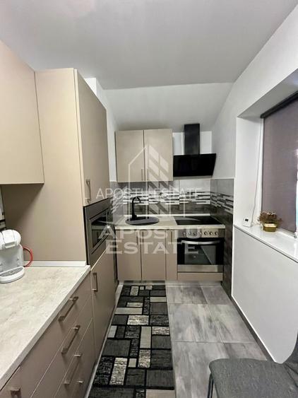 Doua apartamente la curte comuna,zona Traian - 19