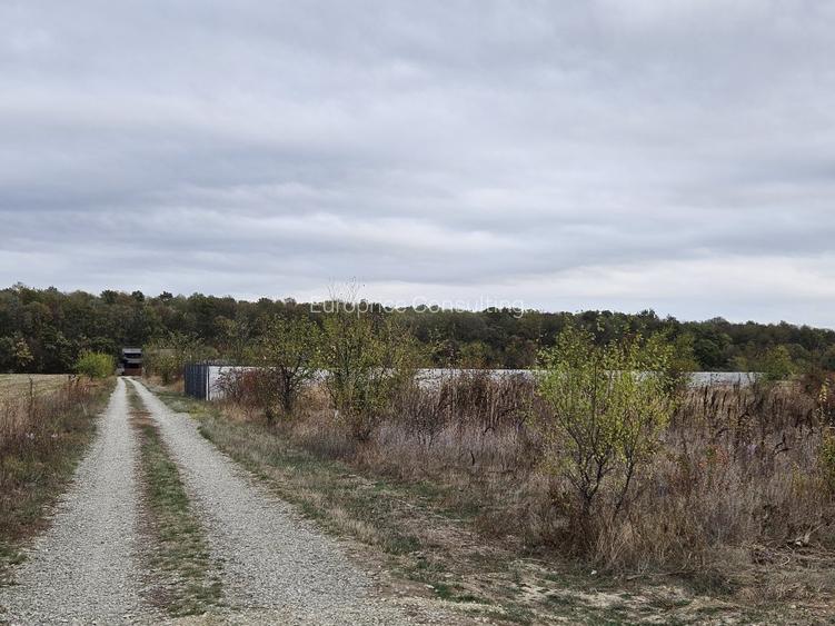 SNAGOV  TANCABESTI- STRADA MIHAI EMINESCU - 5