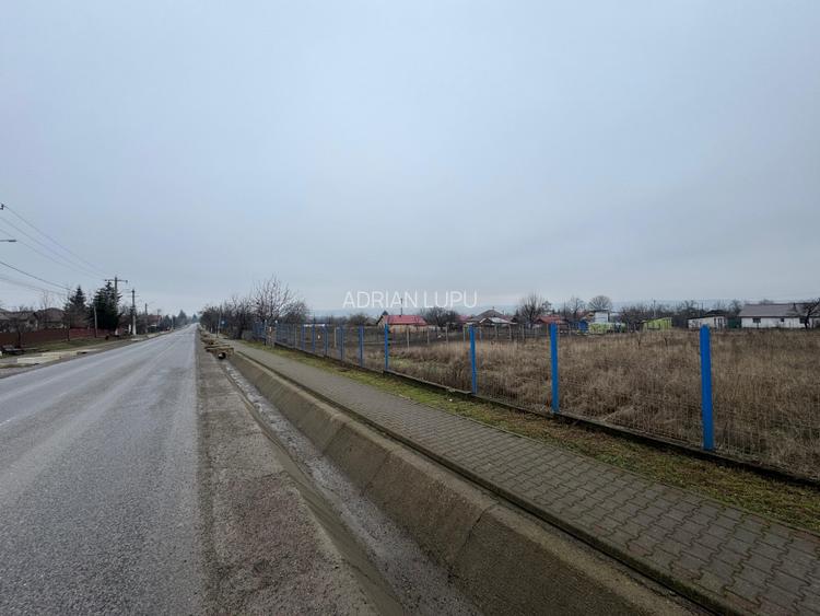 Vanzare Teren Intravilan 1800 mp Tiganasi Acces DJ Iasi-Botosani - 2