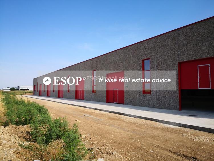 Hale industriale, parc modern, Rudeni, Chitila, Ilfov- ID 15462 - 10