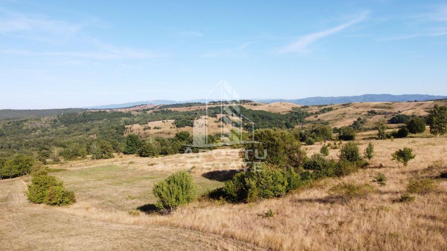 Teren de 50.000mp, priveliste panoramica spre munte si lac, Hunedoara