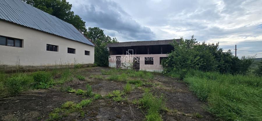 Teren agricol extravilan, 16000 Mp si 1234 Mp, Rora, Sighisoara - 3