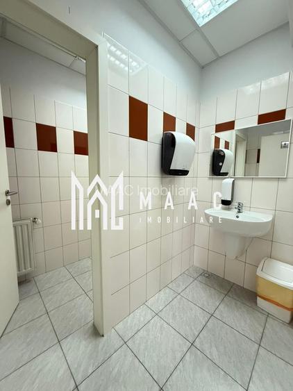 Spatiu de birouri I 186 mpu I Etajul 1 I Zona Sub arini - 11