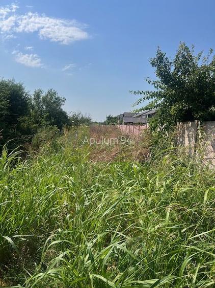 Teren Clinceni- Fortului- Ortansei. - 2