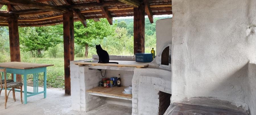 Casa traditionala intr-o zona de vis pe langa Curtea de Arges  - 4