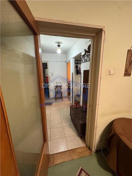 APARTAMENT 2 CAM, DRISTOR BABA NOVAC - 13