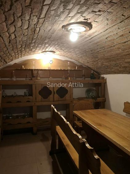 Proprietate exclusivista cu design rafinat si facilitati premium—Sfantu Gheorghe - 4