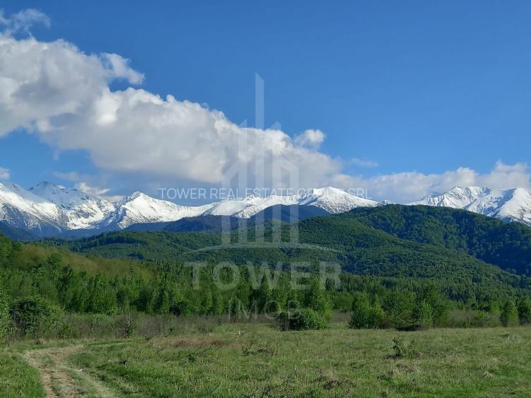 COMISION 0% Teren de vânzare EXTRAVILAN | Porumbacu de Jos - 5