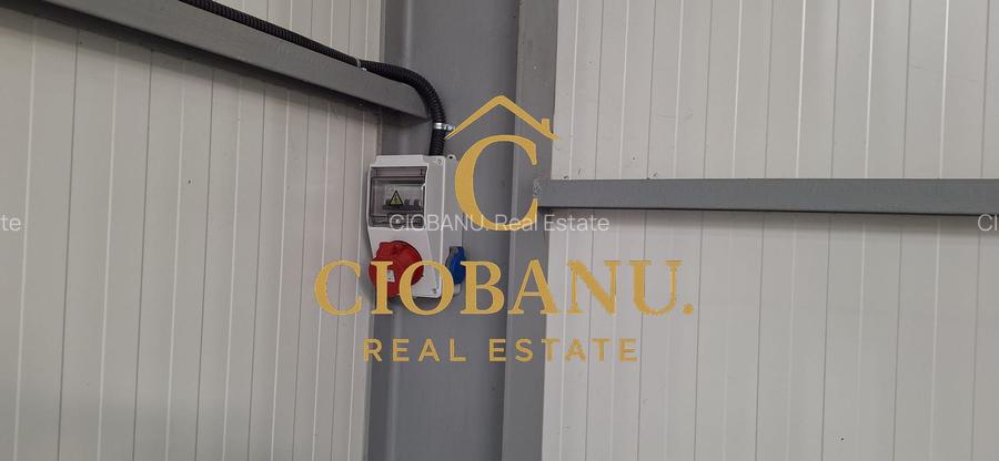 Hala de vanzare in Racarii de Jos - 11