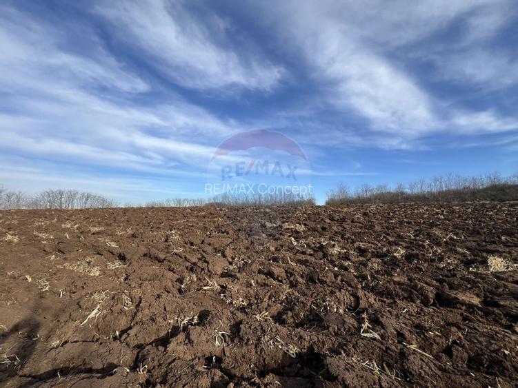 Teren intravilan, Bădeni, parcelabil - 7