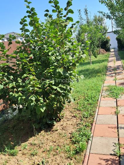 Dumbravita-apartament in triplex-200.000 € - 6