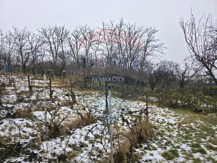 Teren intravilan 4,516mp Doina - 18