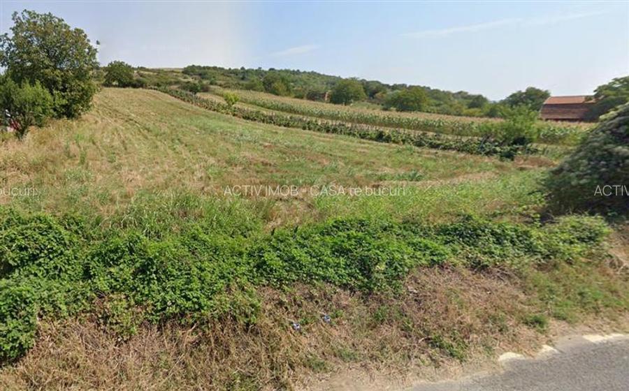 Teren Intravilan langa Dunare!  Disponibil la 15 Euro mp - 4