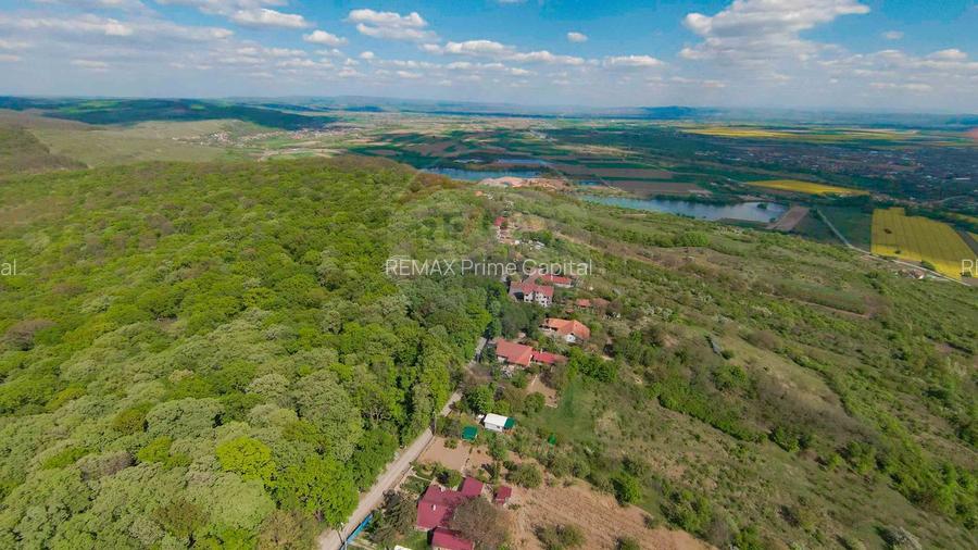 De vânzare casă și teren 1.425 mp - Podgoria - 11