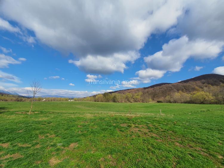 Teren Rasnov – Predeal zona de pensiuni - 6