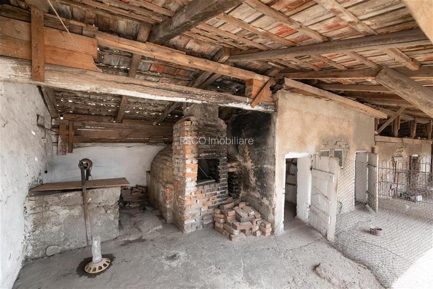 Teren mare cu 2 case si front la 2 strazi in Tamaseu - 25