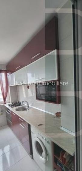 IANCULUI,Metrou VATRA Luminoasa PARCUL NATIONAL,Renovat, Mobilat,utilat modern - 3