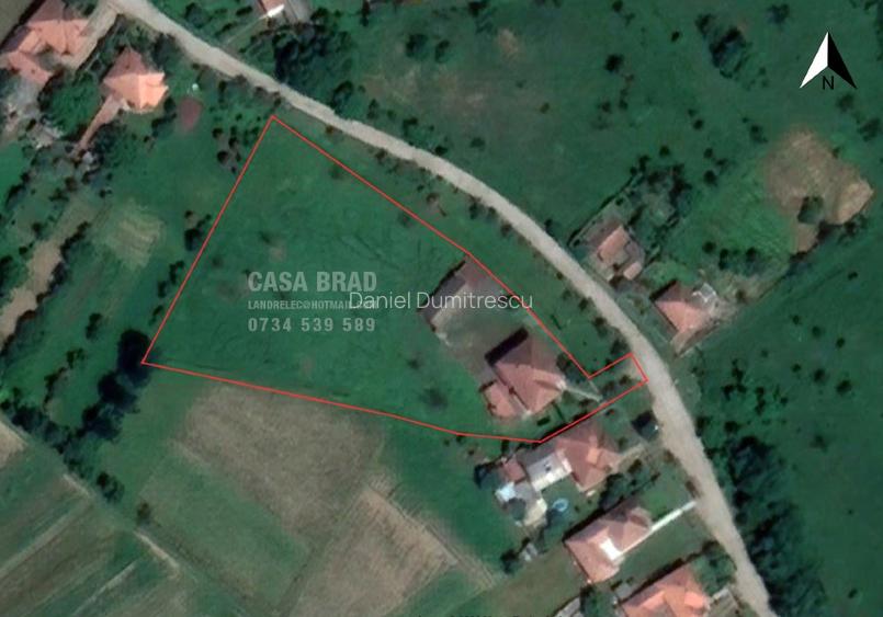 Casa mare cu ~4000mp teren plat, in zona verde, linistita, in orasul Brad, HD - 2