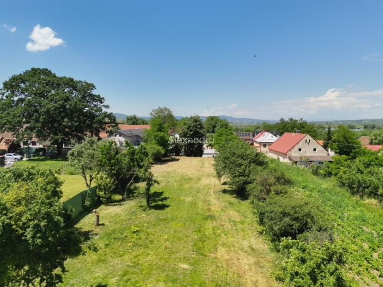 Teren Intravilan 1.251 mp în Rotbav (Brașov) – Toate utilitățile, acces asfaltat - 4