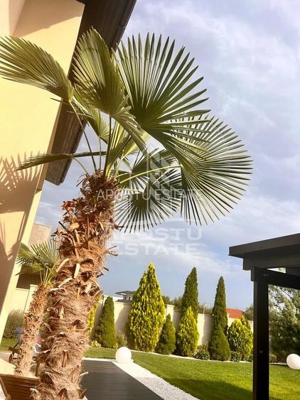 Vila de lux în Dumbrăvița cinci camere - 36