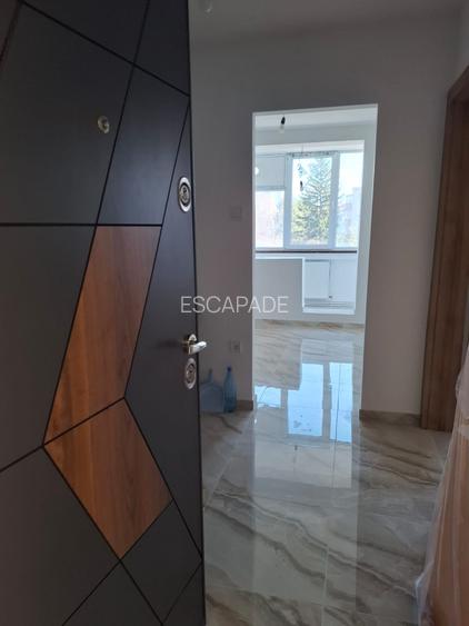 Chirie 2 camere, recent renovat, vedere parc, zona piata dacia - 13