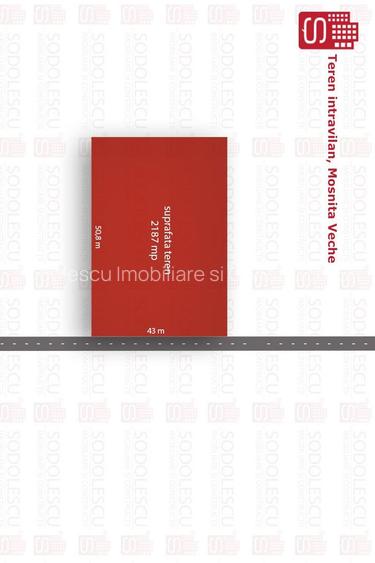 TEREN MOSNITA VECHE - VATRA VECHE 1183 MP - 2