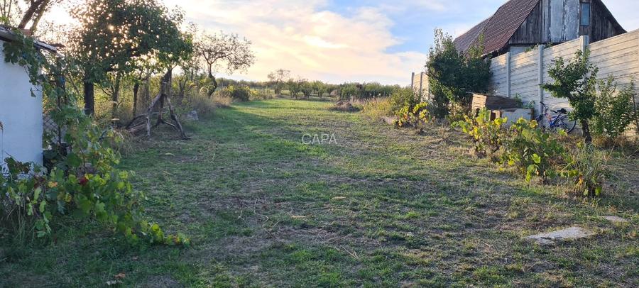 Vand casa cu 1500 mp teren, lângă Hanul Pescarilor - 6