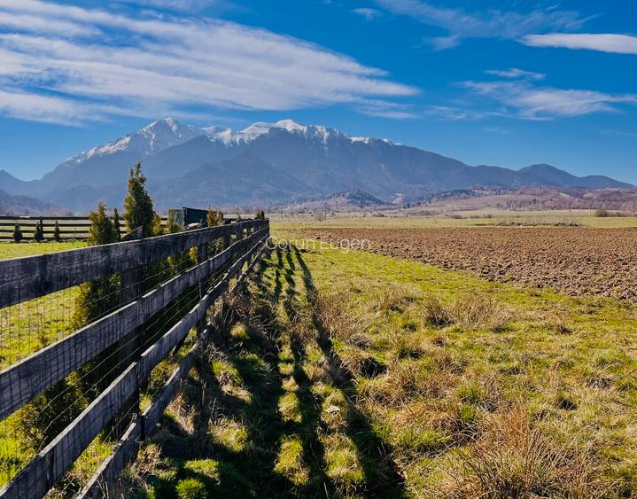 Teren intravilan Râșnov – Glejerie  5 parcele x 1000 mp  Capăt Str. Greierilor - 7