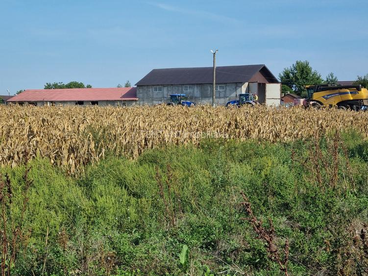 vanzare teren construibil - 5