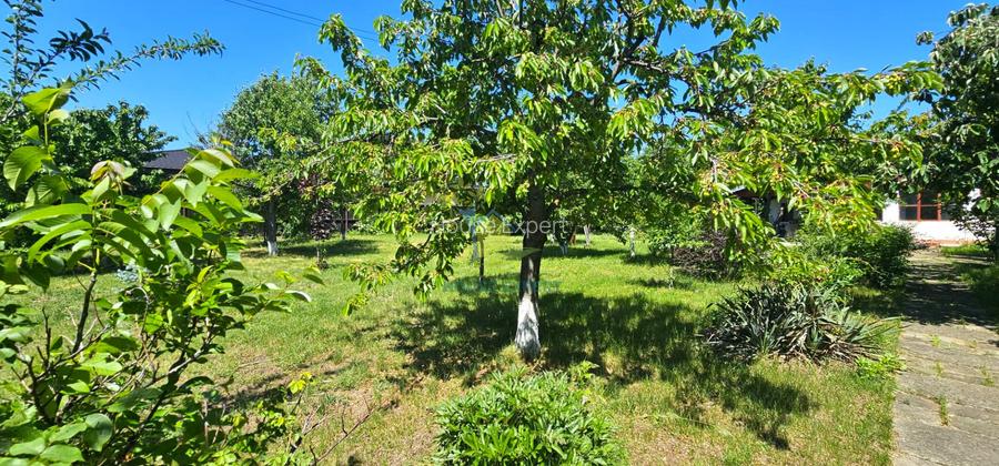 RARA AVIS! Teren 1550 mp, deschidere 31 m, zona Ferme, Otopeni - 2