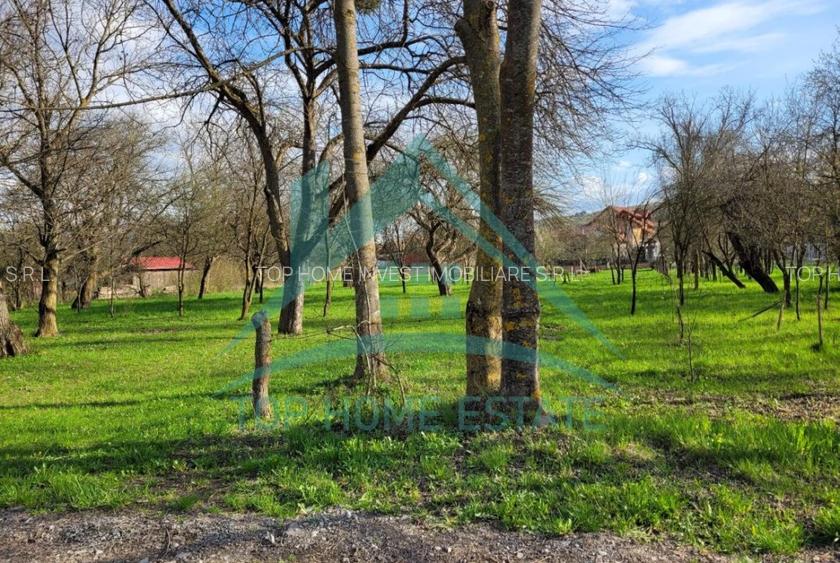 EXCLUSIVITATE! Teren intravilan de vanzare in zona linistita, sat Vlaha! - 5