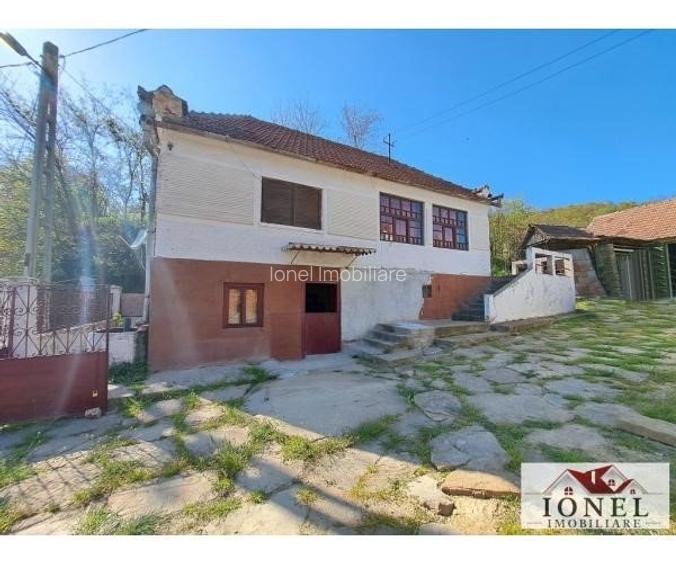 Casa de vanzare cu 46774 mp teren in zona Vintu - 4