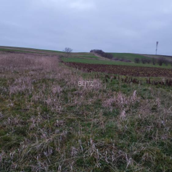 Teren extravilan, 4760 mp - zona Ghercesti  - 2