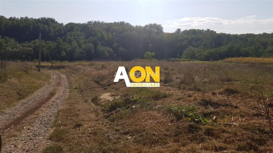 Teren intravilan Teleac cu toate utilitatile - 3