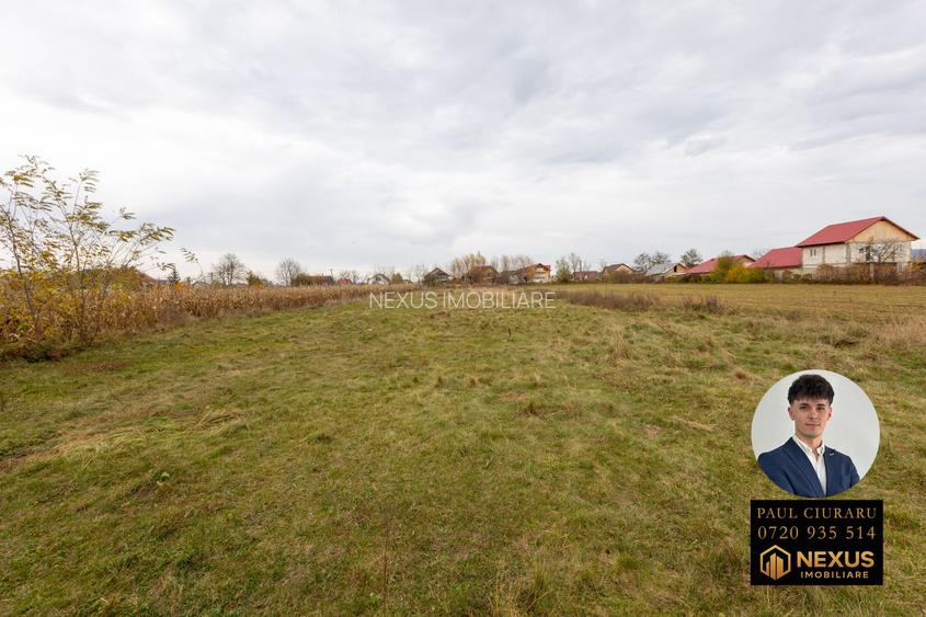 Casă + Teren de vânzare, Nicolae Bălcescu, Bacău - 10